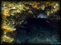 DSC02479  - copie